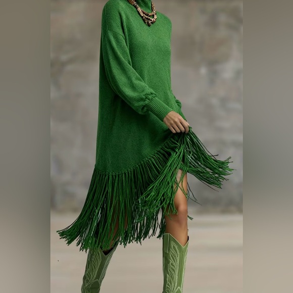 Green Fringe Sweater Dress - Picture 3 of 6
